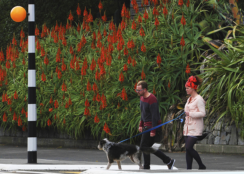 Street Scene : New Zealand : Travel : Photos :  Richard Moore Photography : Photographer : 